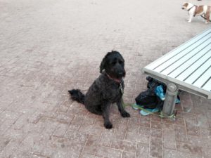 10947245_10153010343610915_6140782292963202685_n